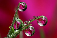 /album/%cf%86%cf%85%cf%83%ce%b7-amp%3b-%ce%b6%cf%89%ce%b7/keefers-waterdrops165-jpg/
