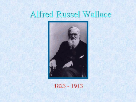 Ιούλιος 1858: Παρουσίαση άρθρων Δαρβίνου και Wallace στη Λινναία Εταιρεία  Νοέμβριος 1859: Έκδοση του: Περί της Προελεύσεως των Ειδών μέσω της Φυσικής Επιλογής ή η Διατήρηση των Ευνοημένων Φυλών στον Αγώνα για τη Ζωή