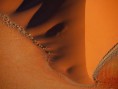 /album/%ce%ad%ce%ba%ce%b8%ce%b5%cf%83%ce%b7-%cf%86%cf%89%cf%84%ce%bf%ce%b3%cf%81%ce%b1%cf%86%ce%b9%cf%8e%ce%bd/a262491-231143856922971-100000820756732-595260-1859301-n-jpg/